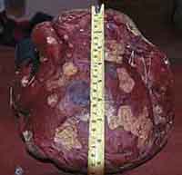 Аватара пользователя